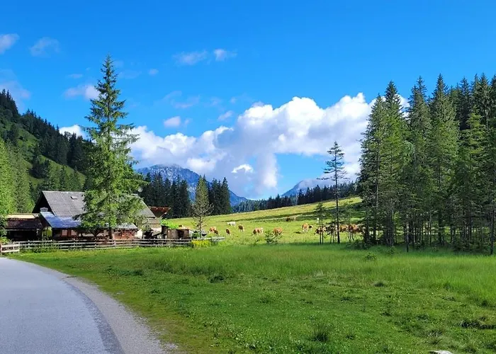 Petersberg Apartmán *